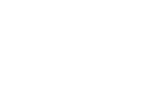 MVP Bruce Logo